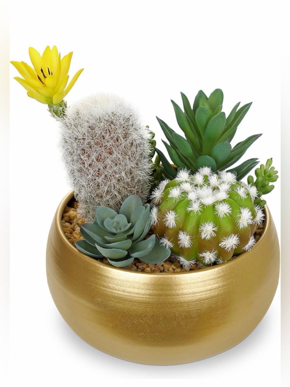 Gold Ceramic Succulent & Cactus Arrangement with Yellow Bloom